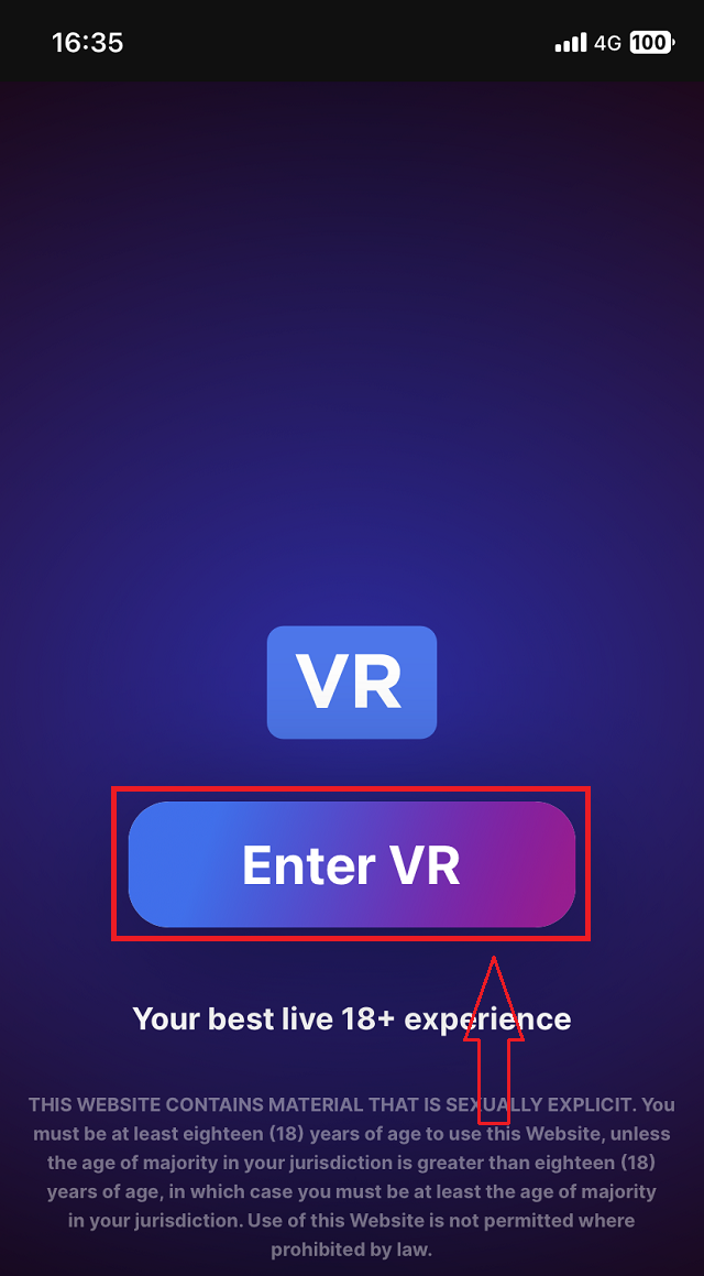 VRチャットを視聴する手順