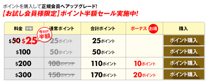 チャットポイントの購入