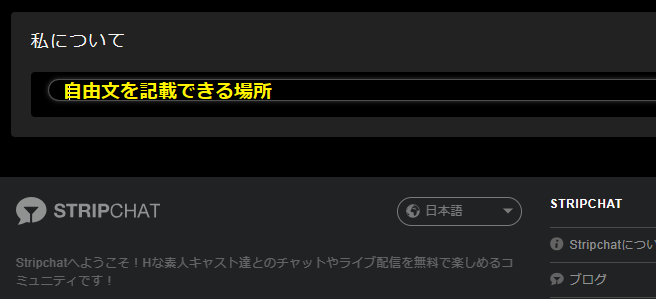 自由文を記載できる場所